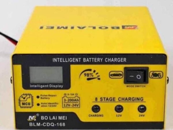 Battery charger 6v/12v BLM-168 4 img 7994