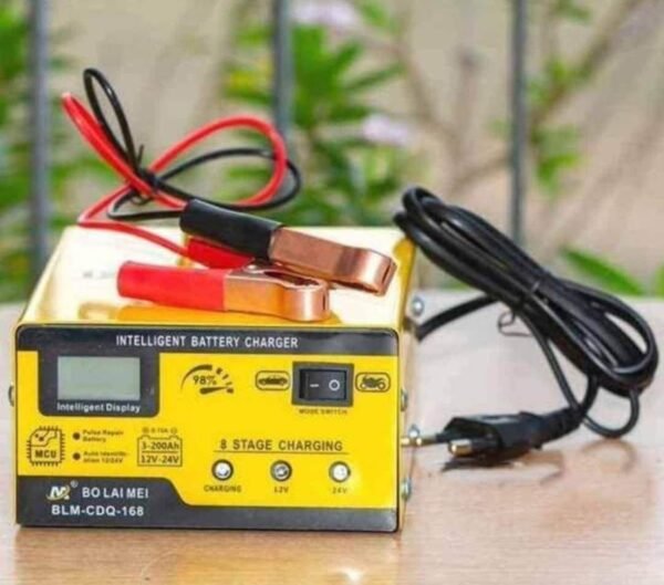 Battery charger 6v/12v BLM-168 2 img 7997