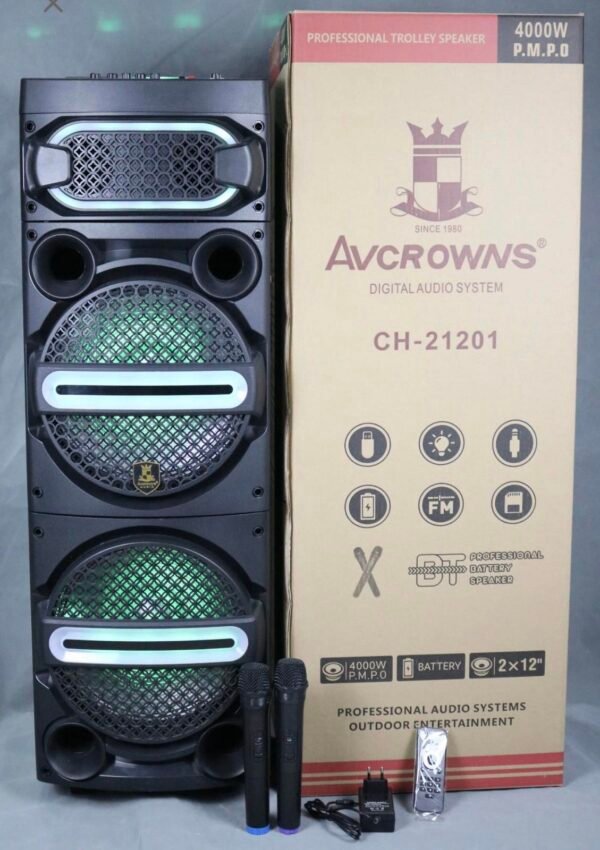 AVCR-21201 Portable Party Speaker with LED Lights 1 img 0946