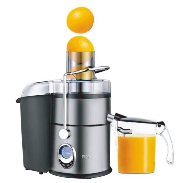 RAF Cold Press Juicer R.2868 2 img 1171