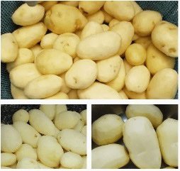 Commercial Potato Peeler QJ11-X30C 6 img 2195